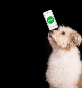 How to Use Fiverr to Boost Productivity (Business Owners)