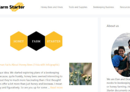 Can You Still Make Big Money with a Blog: Case Study (Part 1: The Plan)